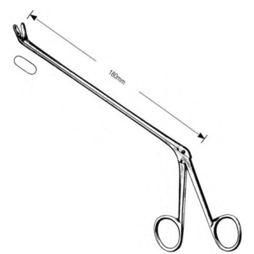 Neuro Surgery